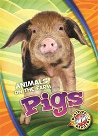 Pigs