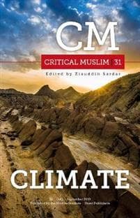 Critical Muslim 31
