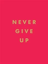 Never Give Up