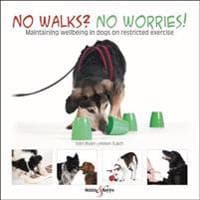 No Walks? No Worries!