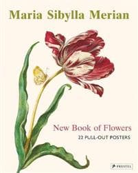 Maria Sibylla Merian