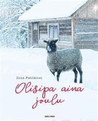 Olisipa aina joulu