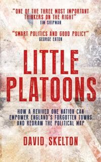 Little Platoons