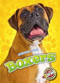 Boxers