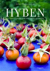 Hyben