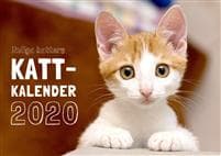 Roliga katters kattkalender 2020