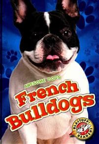 French Bulldogs
