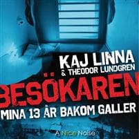 Besökaren : mina 13 år bakom galler
