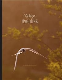Flyktige øyeblikk