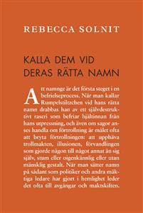 Kalla dem vid deras rätta namn : amerikanska kriser (och essäer)