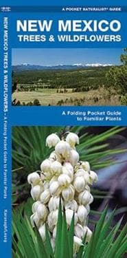 New Mexico Trees & Wildflowers