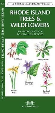 Rhode Island Trees & Wildflowers