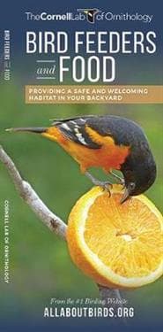 Bird Feeders and Food