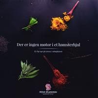 Der er ingen motor i et hamsterhjul