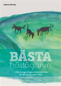 Bästa hästägaren : det du egentligen behöver veta för att ha en egen häst