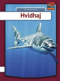 Hvidhaj