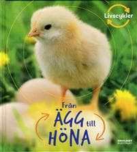 Från ägg till höna