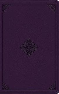 ESV Value Thinline Bible