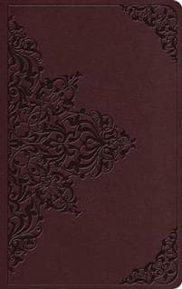 ESV Value Thinline Bible