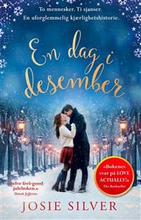 En dag i desember; en julehistorie om kjærlighet