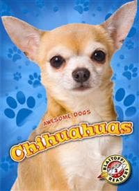 Chihuahuas