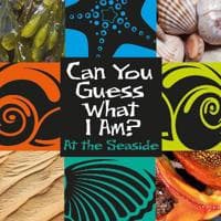 Can You Guess What I Am?: At the Seaside