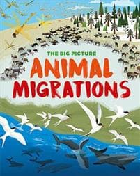 Big Picture: Animal Migrations