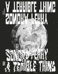 Sondra Perry: A Terrible Thing