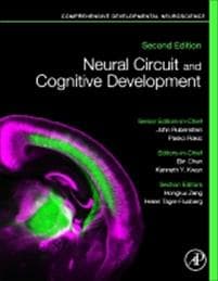 Neural Circuit and Cognitive Development