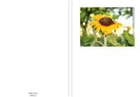 Publish hcb