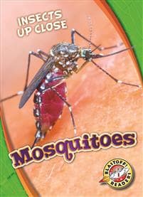 Mosquitoes