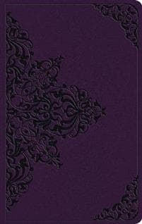 ESV Large Print Value Thinline Bible