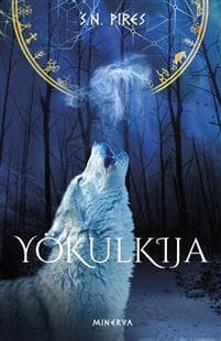 Yökulkija