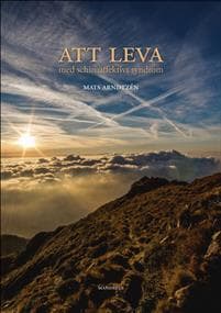 Att leva med schizoaffektivt syndrom