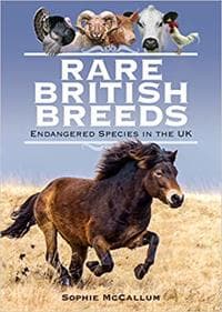 Rare British Breeds