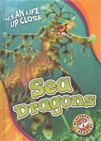 Sea Dragons