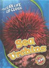 Sea Urchins