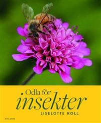 Odla för insekter
