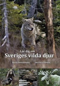 Lär dig om Sveriges vilda djur