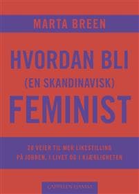 Hvordan bli (en skandinavisk) feminist