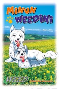 Minun Weedini