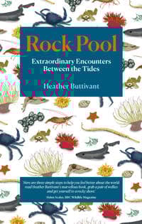 Rock Pool