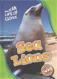 Sea Lions