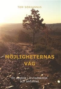 Möjligheternas väg