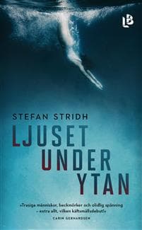 Ljuset under ytan