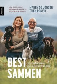 Best sammen; det usynlige båndet mellom deg og hunden din