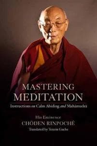 Mastering Meditation