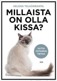 Millaista on olla kissa?