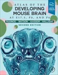 Atlas of the Developing Mouse Brain