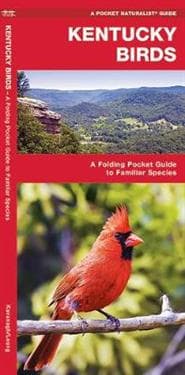 Kentucky Birds